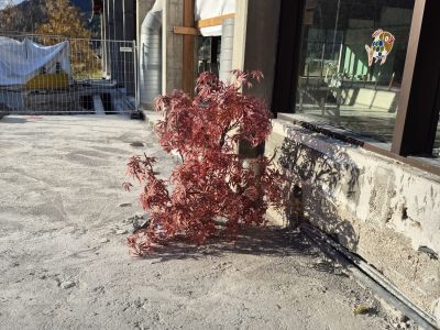 Photo 2025 11 06 09 22 03 4